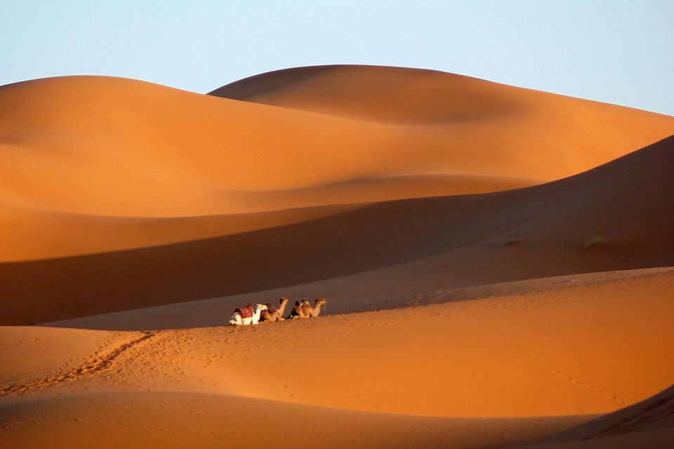 1 ouarzazate tinfou dunes camp camel ride day trip 1 day Ouarzazate: Tinfou Dunes, Camp & Camel Ride Day Trip - 1 Day