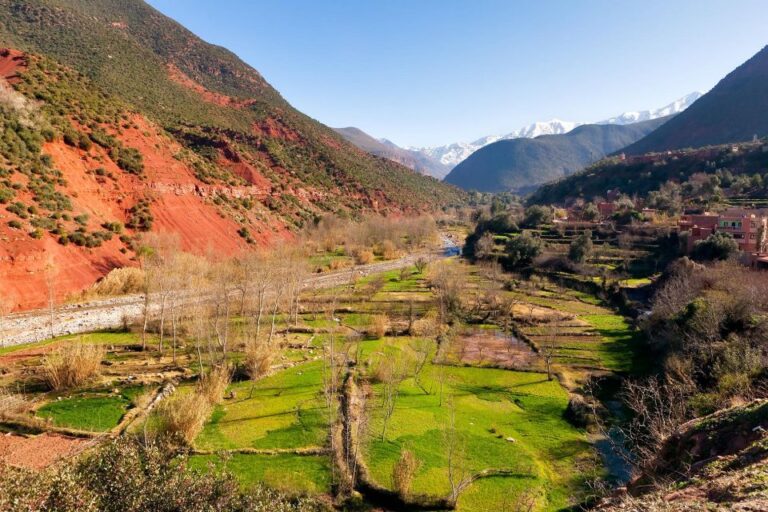 Ourika Valley: Highlights Tour From Marrakech