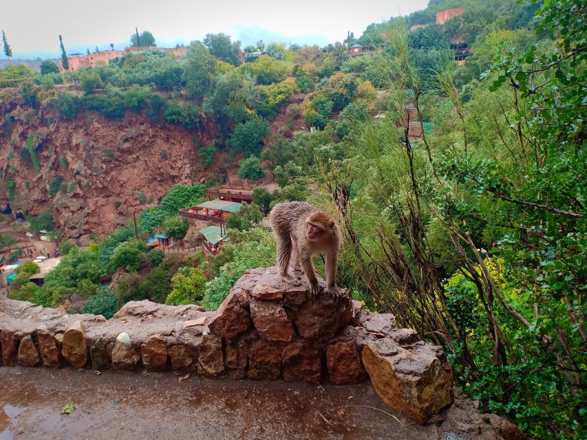 1 ouzoud waterfalls day trip 2 Ouzoud Waterfalls Day Trip