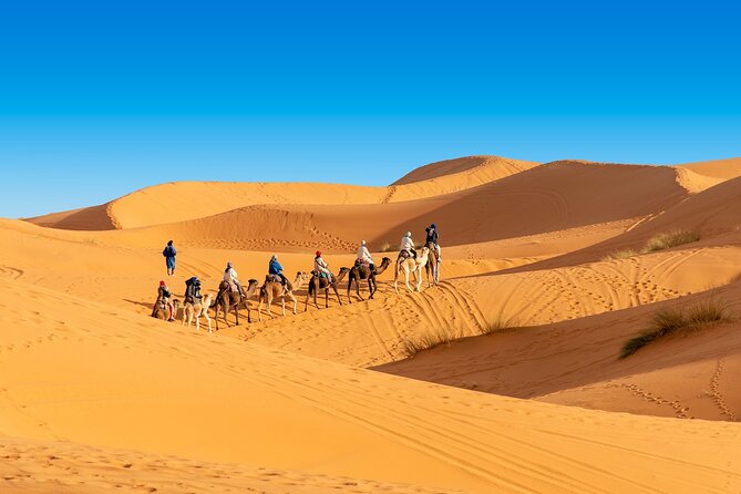 Overnight Camel Trek in Merzouga Dunes
