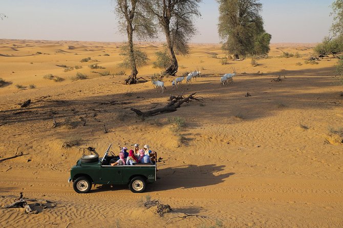 Overnight Desert Safari – Vintage Land Rovers & Traditional Activities