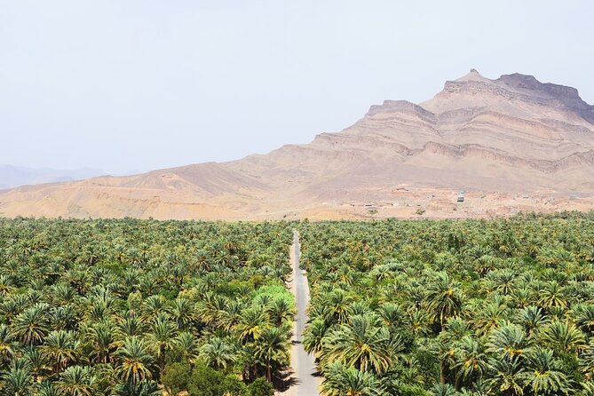 Overnight Desert Tour From Marrakech to Zagora