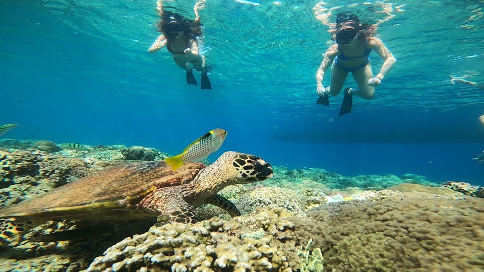 1 ozzy snorkeling 3 islands Ozzy Snorkeling 3 Islands