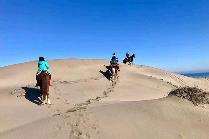 Pacific Horseback Ride on Beach and Sand Dunes