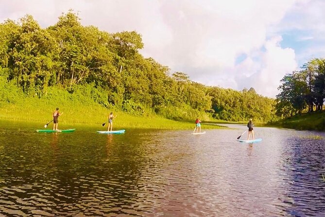 Paddle Board Private Tour Nuevo Arenal, Lake Arenal