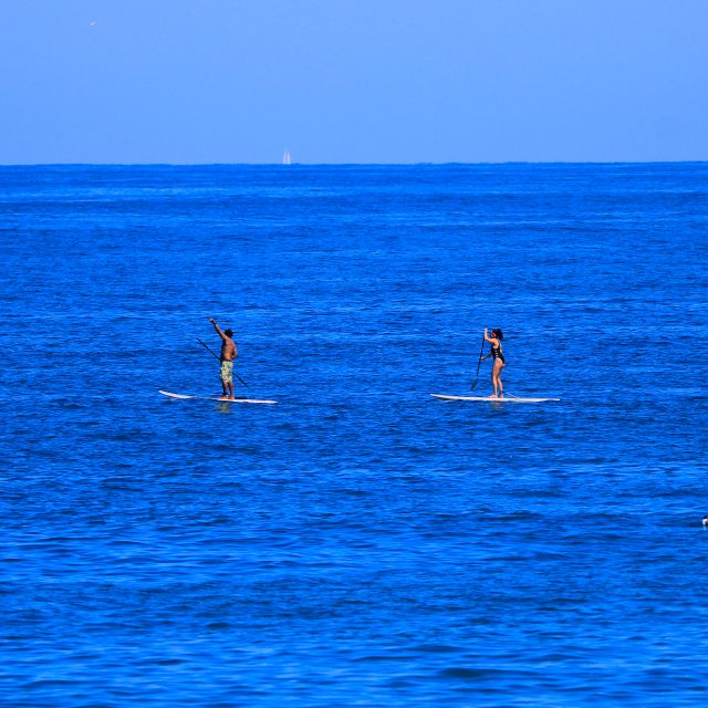 1 paddle board Paddle Board