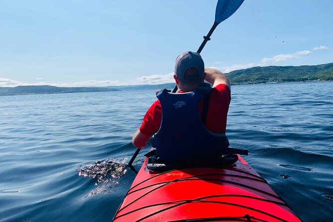 Paddle the Bay of Islands: 2 Hours Guided Kayak Experience