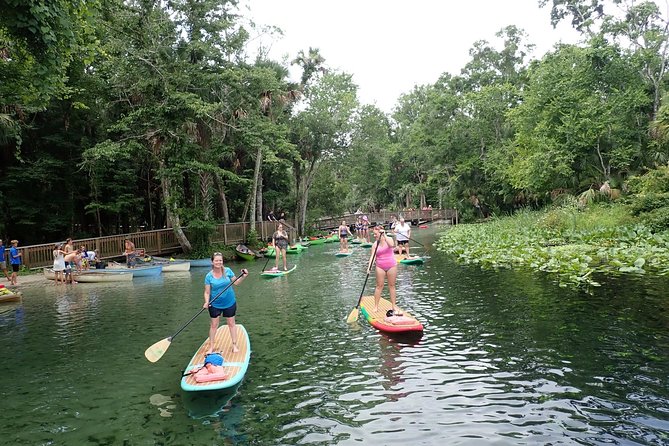 1 paddleboard in crystal clear spring water beginners welcome private location Paddleboard in Crystal Clear Spring Water! Beginners Welcome! Private Location.