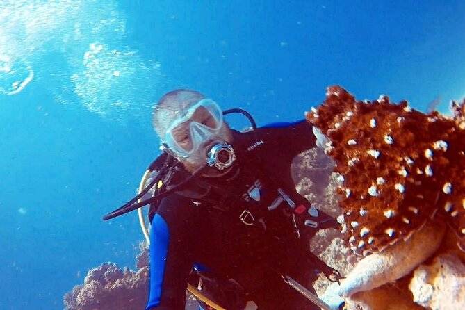 PADI Open Water Diver Course in Hurghada – Learn Scuba Diving
