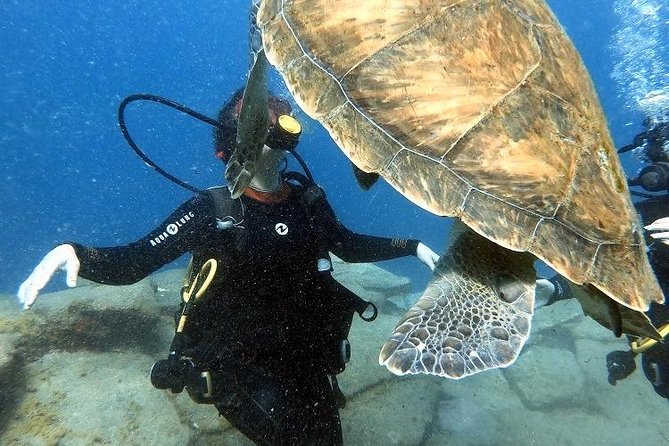 PADI Scuba Dive Course in Costa Adeje