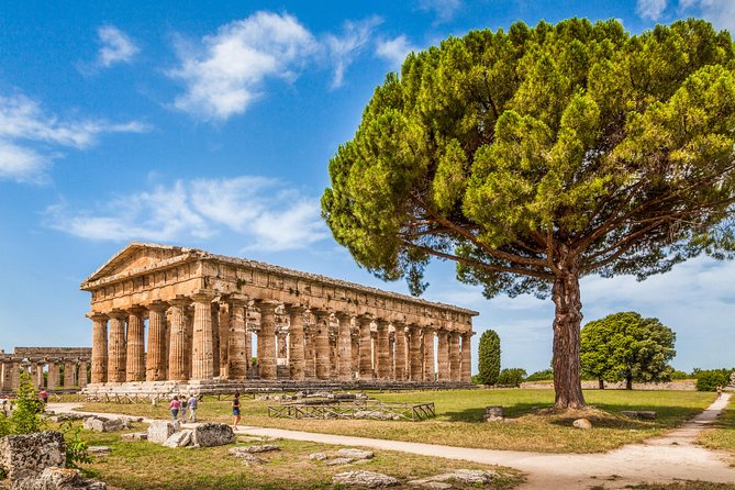 1 paestum the greek temples and the archaeological museum private tour Paestum: the Greek Temples and the Archaeological Museum Private Tour
