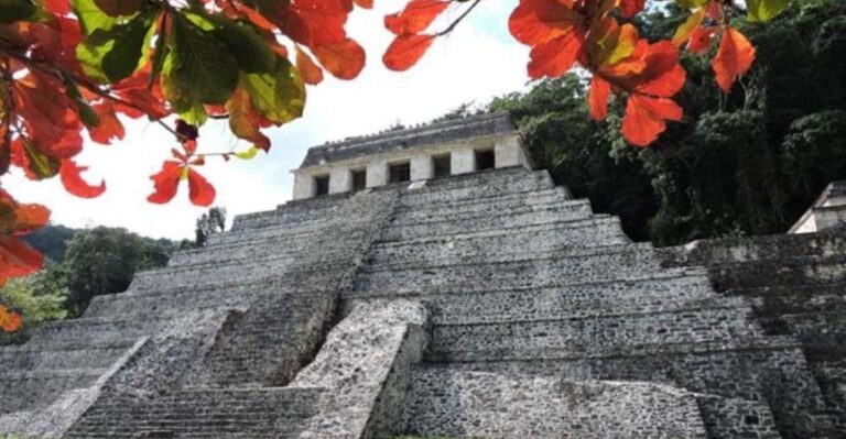 Palenque Archaeological Site From Palenque