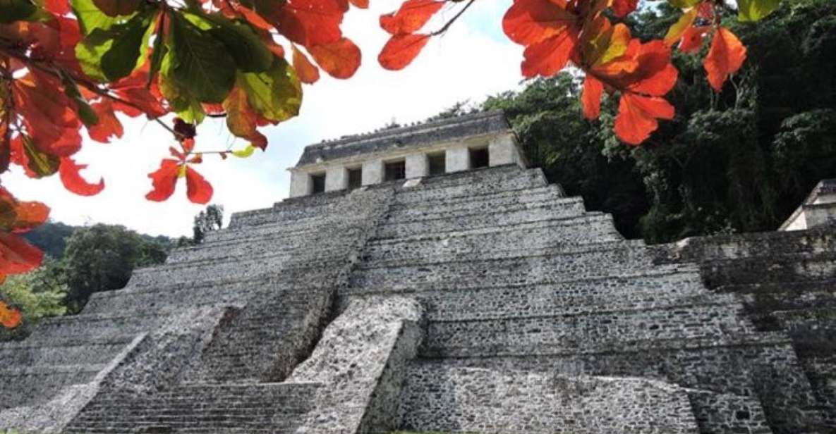 1 palenque archaeological site from palenque Palenque Archaeological Site From Palenque