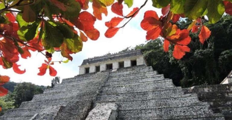 Palenque Archeological Zone and Roberto Barrios Waterfalls
