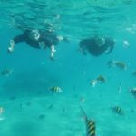 1 palm beach private snorkeling lessons and tour west palm beach Palm Beach Private Snorkeling Lessons and Tour - West Palm Beach