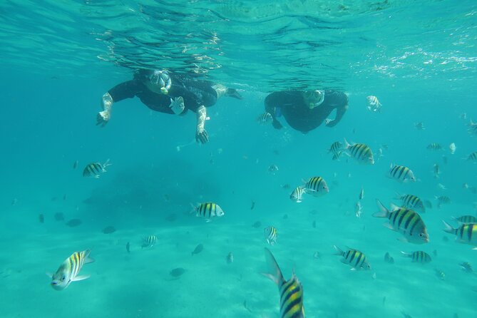 Palm Beach Private Snorkeling Lessons and Tour  – West Palm Beach