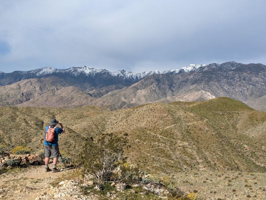 Palm Springs Hike to an Oasis and Amazing Desert Views - Experience Highlights