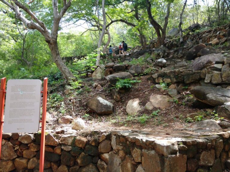 .Palma Sola Archaeological Zone and Market Visit With Lunch