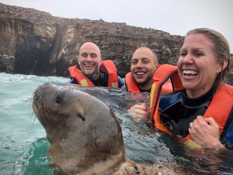 Palomino Islands Speedboat Excursion & Swim With Sea Lions