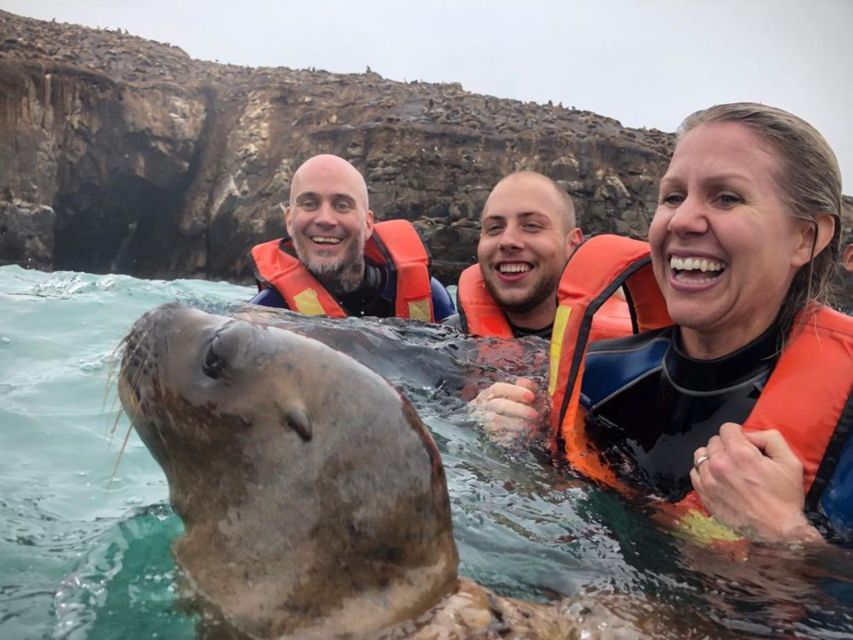 1 palomino islands speedboat excursion swim with sea lions Palomino Islands Speedboat Excursion & Swim With Sea Lions