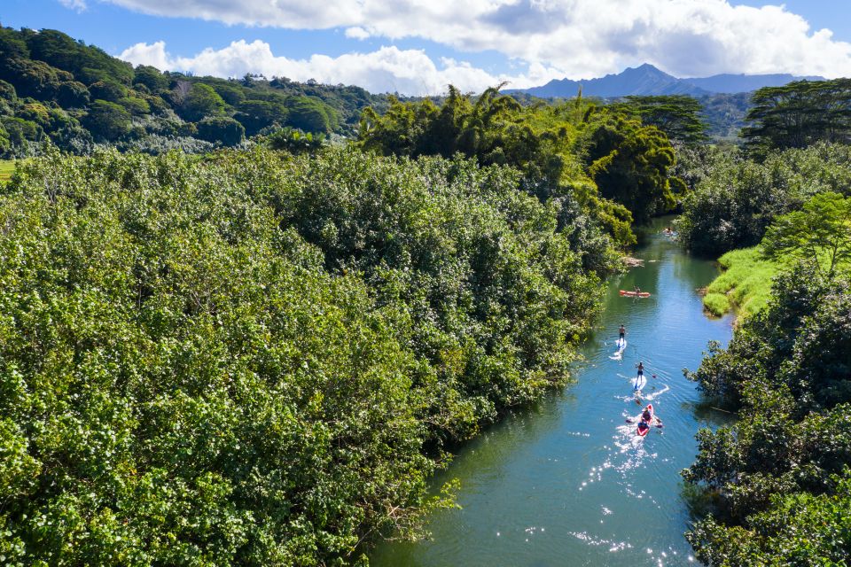 1 palomino palomino river paddle board adventure Palomino: Palomino River Paddle Board Adventure