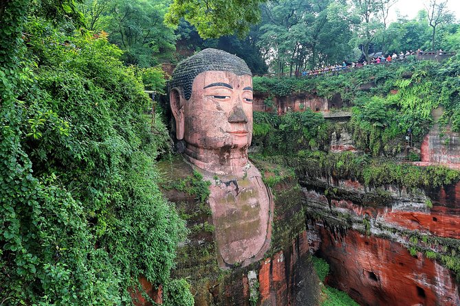 Panda and Leshan Buddha Small Group Tour