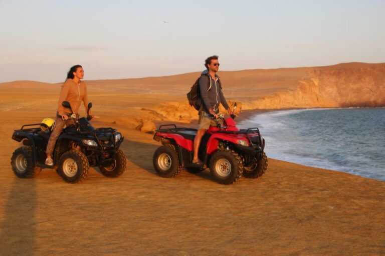 Paracas Reserve Off-Road Expedition – Buggy or Quad