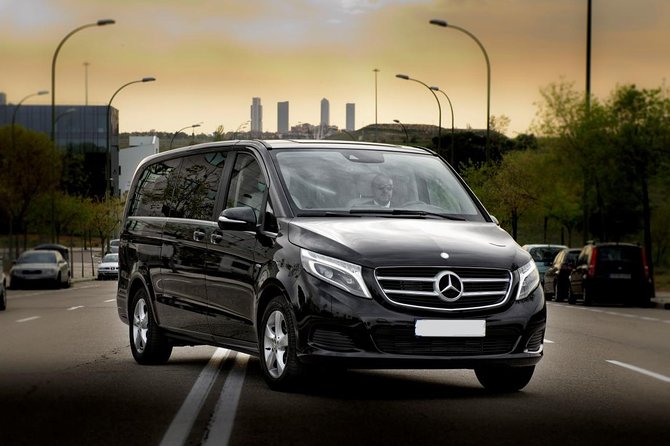 Paris by Yourself (4-8h) With English Speaking Driver by Minivan
