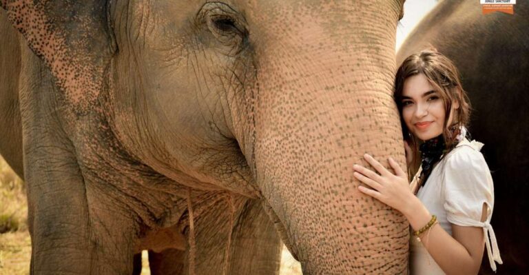 Pattaya: Elephant Jungle Sanctuary Feeding Experience