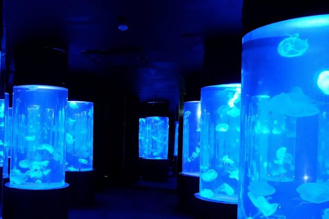 Pattaya Underwater World - Discover Ocean Treasures - Immersive Glass Tunnel Experience