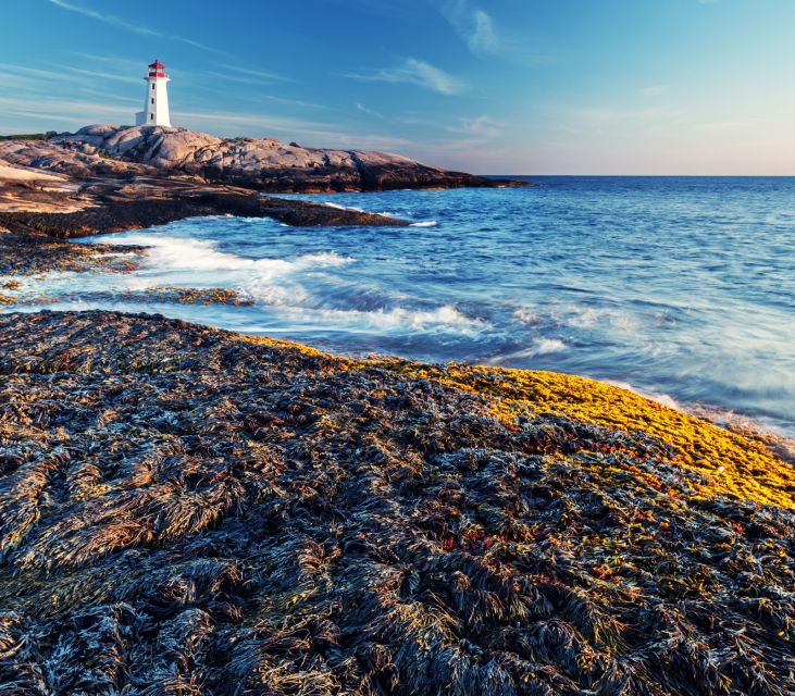 Peggy’s Cove: Half-Day Private Tour From Halifax