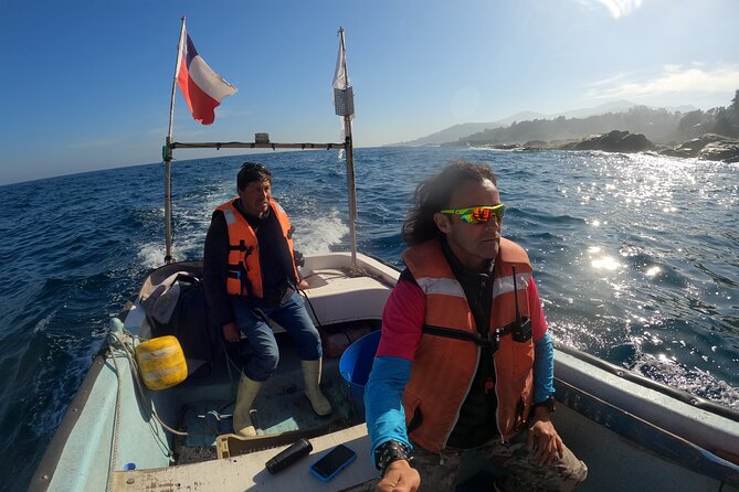 Penguin Island Private Boat Tour From Valparaiso  – Vina Del Mar