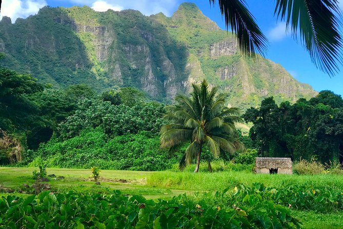 Personalized Private Tour of Oahu