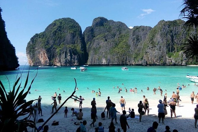 Phi Phi Island Tour by Speedboat From Krabi With Lunch (Sha Plus)