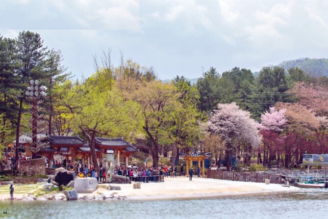 1 photo spot tour including nami island and 3 more places Photo Spot Tour Including Nami Island and 3 More Places