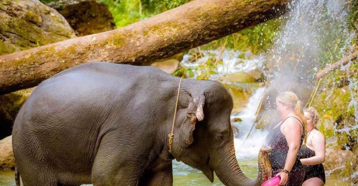 1 phuket bamboo rafting atv optional elephant bathing Phuket: Bamboo Rafting, ATV (Optional), Elephant Bathing.