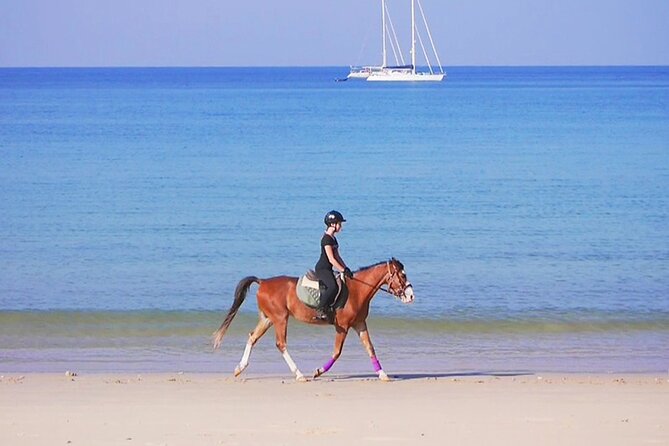 Phuket Beach and Horse Rides 1 Hour Experience