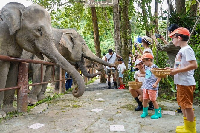 Phuket Best: City Tour & Elephant Park Experience