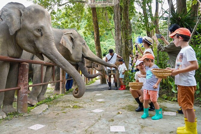 1 phuket best city tour elephant park Phuket Best: City Tour & Elephant Park Experience