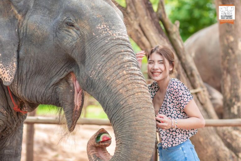 Phuket: Elephant Jungle Sanctuary Ethical Feeding Experience