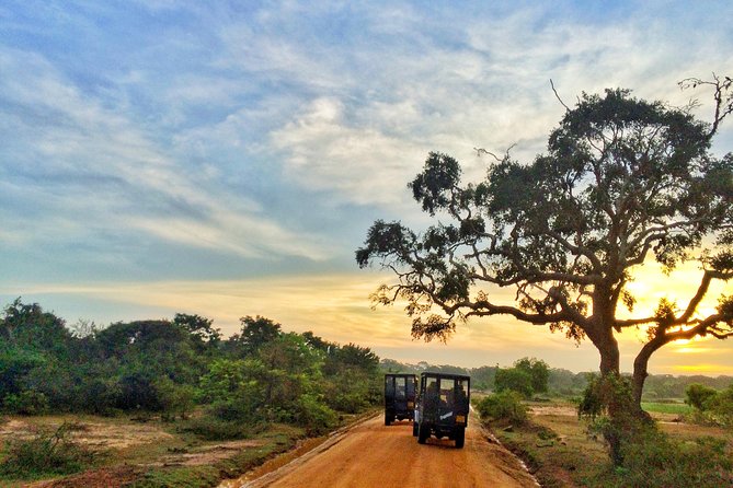Pick up Hambantota: Udawalawe National Park Adventure