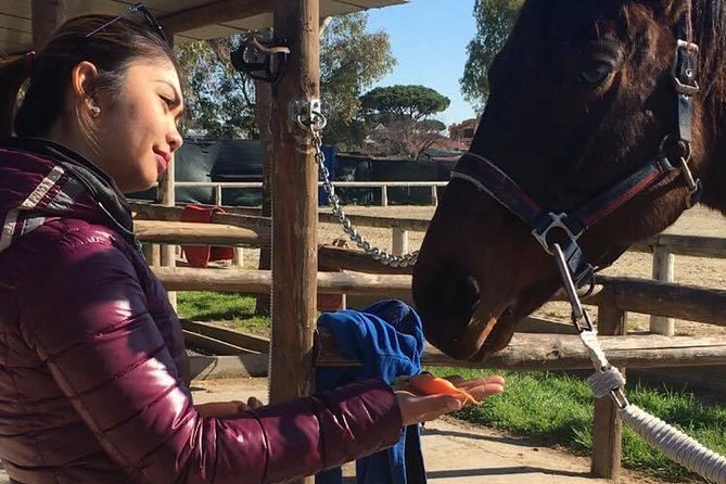 Picnic on Horseback in Rome