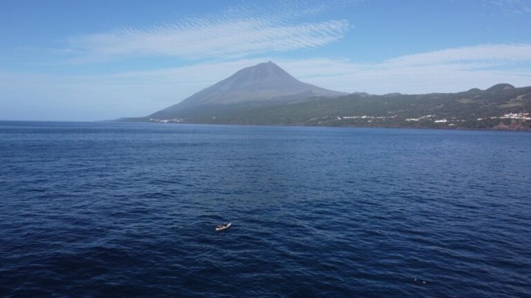 Pico Island, Azores: Guided Kayak and Snorkel Tour