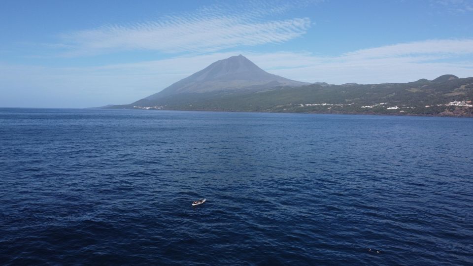 1 pico island azores guided kayak and snorkel tour Pico Island, Azores: Guided Kayak and Snorkel Tour