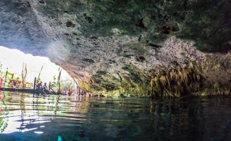 Playa Del Carmen: Cenote and Swim With Turtles Half Day Tour