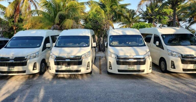 Playa Del Carmen: Private Transportation to Holbox Island