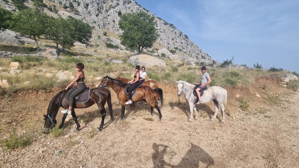 1 podstrana guided horseback riding Podstrana: Guided Horseback Riding Experience