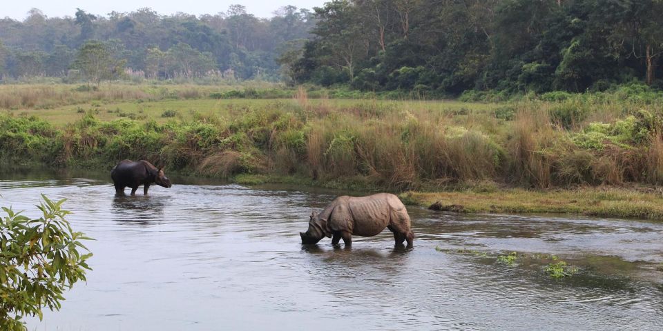 Pokhara: 1 Night 2 Day Chitwan Safari Tour