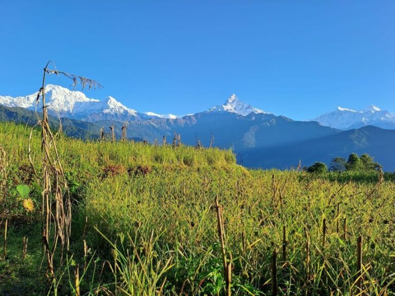 Pokhara : Easy Day Hiking in the Himalayan Foothills