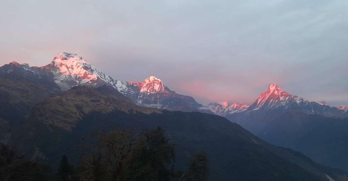 Pokhara: Guided Day Hike From Dampus To Australian Base Camp